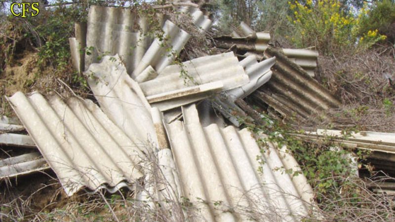 AMBIENTE: LA FORESTALE DENUNCIA UN UOMO PER INOSSERVANZA AD UNA ORDINANZA COMUNALE