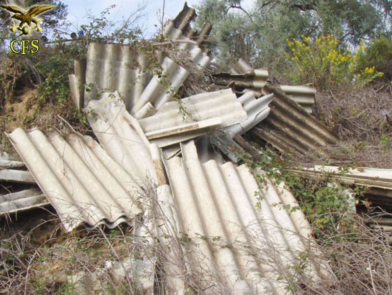 AMBIENTE: LA FORESTALE DENUNCIA UN UOMO PER INOSSERVANZA AD UNA ORDINANZA COMUNALE