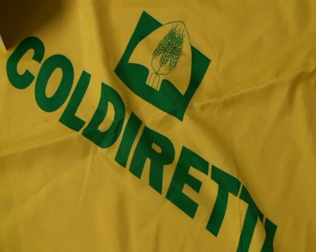 Manifestazione Coldiretti: centinaia di agricoltori a Catanzaro