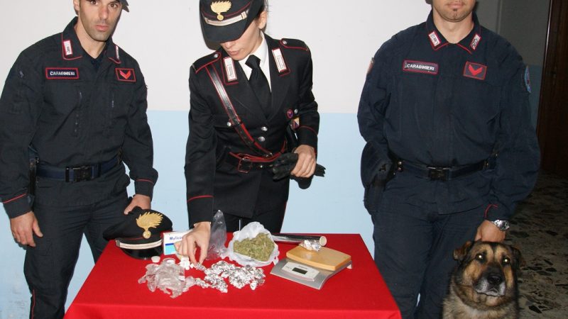 Mesoraca, coppia di conviventi arrestati per droga: ad incastrarli, Ergos, il cane antidroga dei Carabinieri