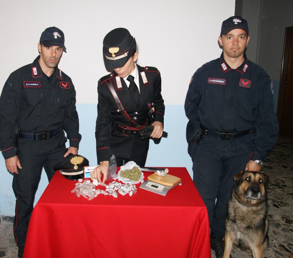 Mesoraca, coppia di conviventi arrestati per droga: ad incastrarli, Ergos, il cane antidroga dei Carabinieri
  