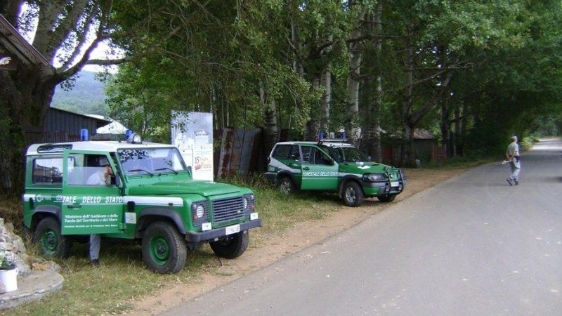 Bilancio dell’ attività del  Corpo Forestale dello Stato in Calabria