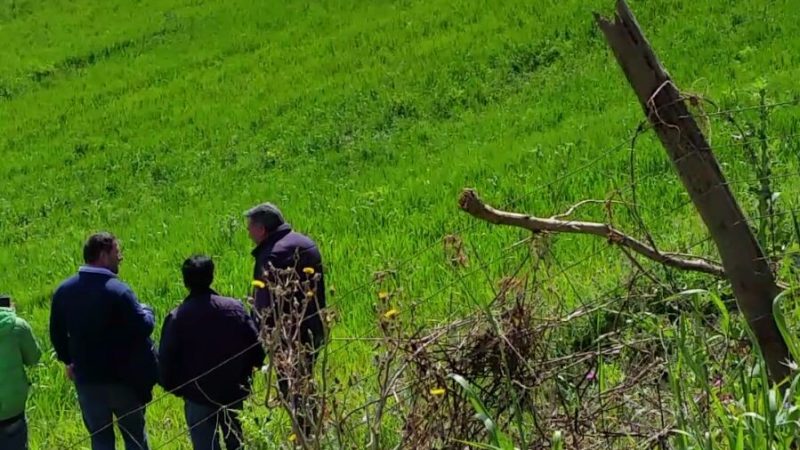 Incidente nelle campagne di Mesoraca. Interviene l’elisoccorso