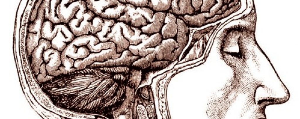 Settimana mondiale del cervello dal 13 al 19 marzo. Screening gratuiti presso il Centro Turano a Crotone
  