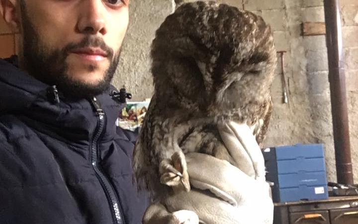 Ritrovamento di un selvatico a Mesoraca: intervengono le GPG