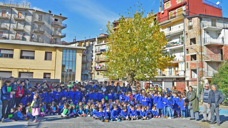 Festa dell’albero a Petilia