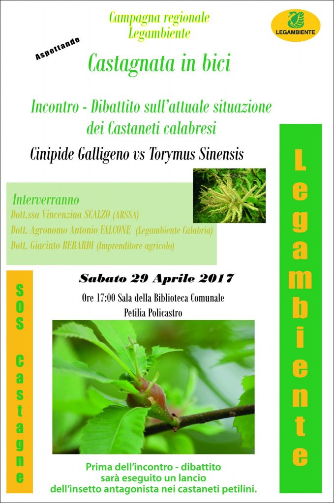 Emergenza castagne: se ne parlerà domani nella biblioteca comunale