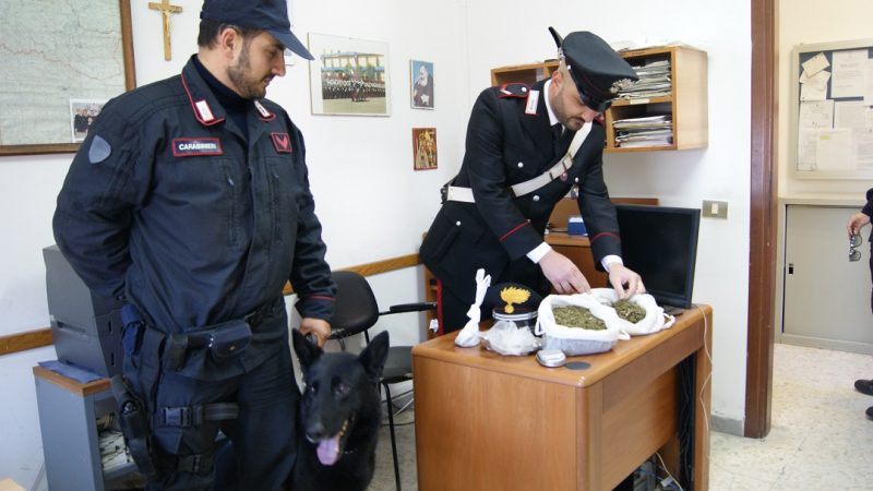 UN ARRESTO PER SPACCIO DI MARIJUANA