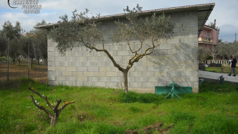 Fabbricato abusivo a Scandale, intervengono i Carabinieri