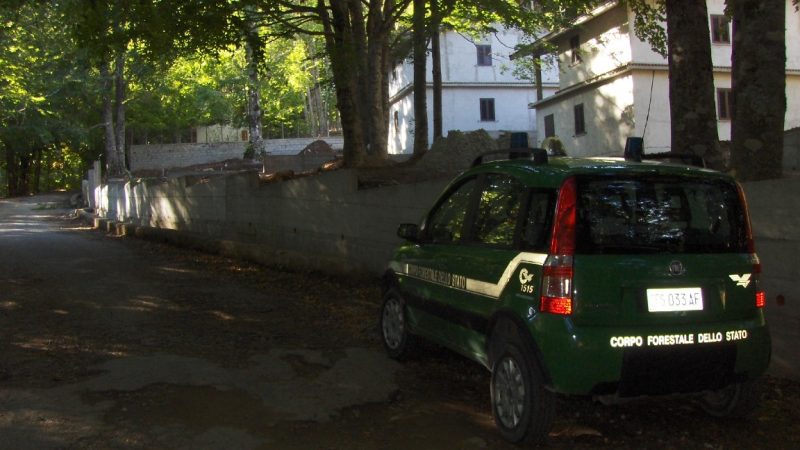 MURI ABUSIVI REALIZZATI A VILLAGGIO FRATTA DI MESORACA