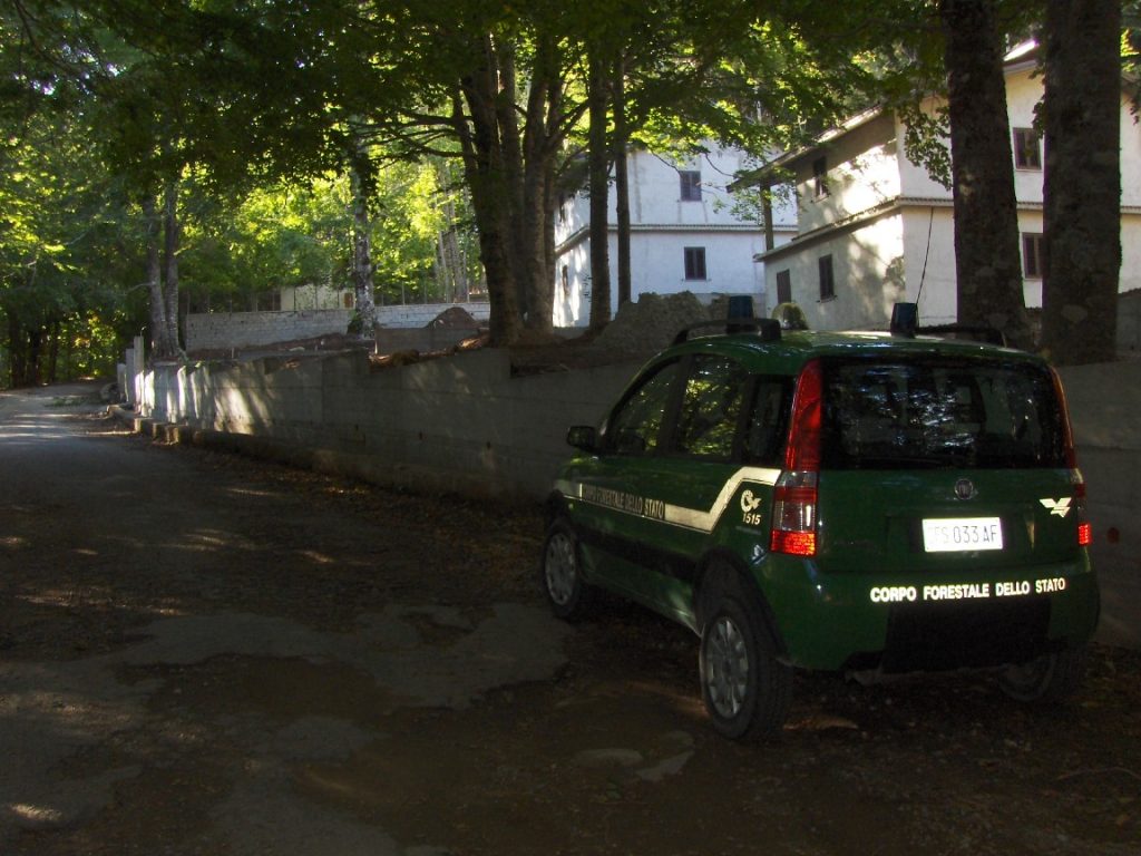 MURI ABUSIVI REALIZZATI A VILLAGGIO FRATTA DI MESORACA