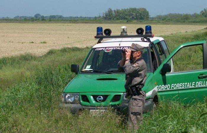 AGRICOLTURA: DENUNCIATI PER PRESUNTA TRUFFA AI DANNI DELL’ARCEA  DUE IMPRENDITORI AGRICOLI CROTONESI