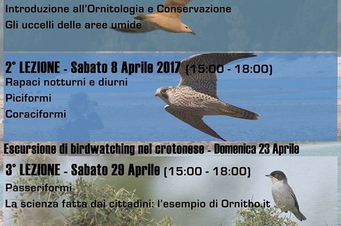 Corso di Birdwatching e Introduzione all’Ornitologia a Crotone