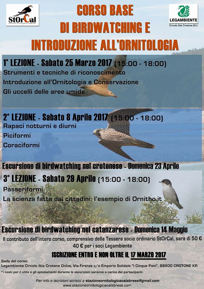 Corso di Birdwatching e Introduzione all’Ornitologia a Crotone