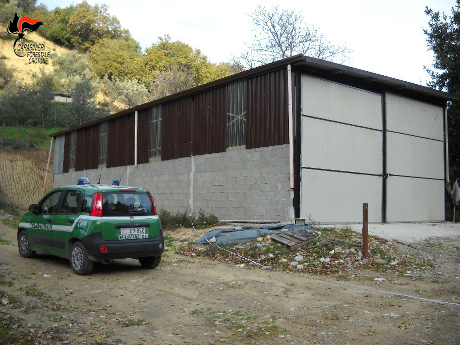 A San Mauro Marchesato capannone rurale completamente abusivo