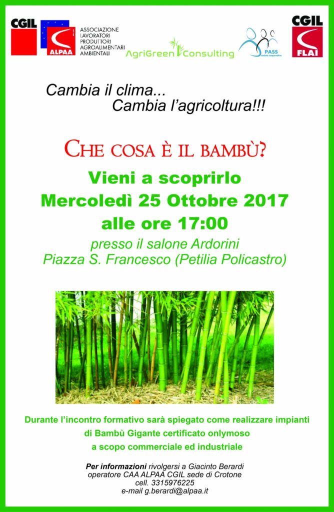 Che cos’è il Bambù: sarà spiegato a Petilia Policastro