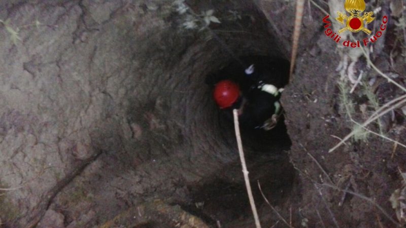 Incendiato capannone a Isola