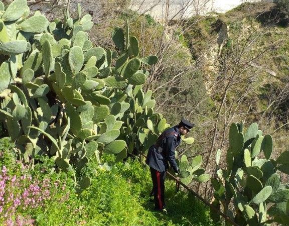 Salvato anziano dai Carabinieri, era scivolato in un precipizio