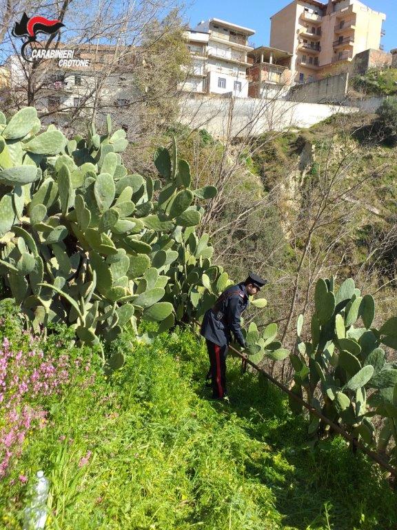 Salvato anziano dai Carabinieri, era scivolato in un precipizio
  