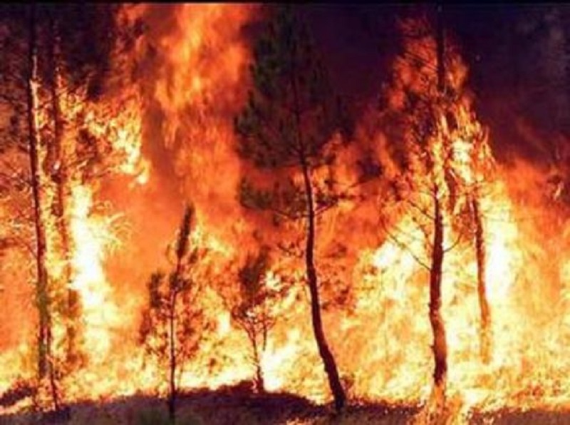 La Calabria va a fuoco e Legambiente accusa la mancata prevenzione
  