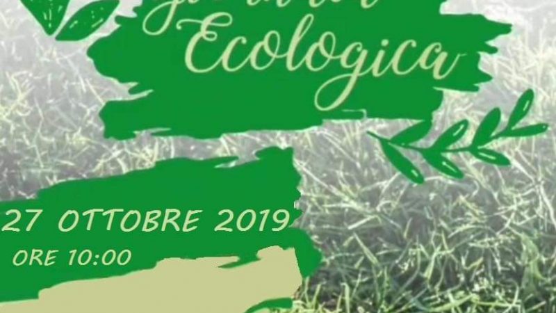 Rotary Interact organizza giornata ecologica