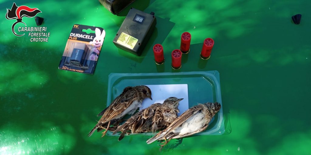 Caccia illegale, sequestrato fucile ad un cacciatore