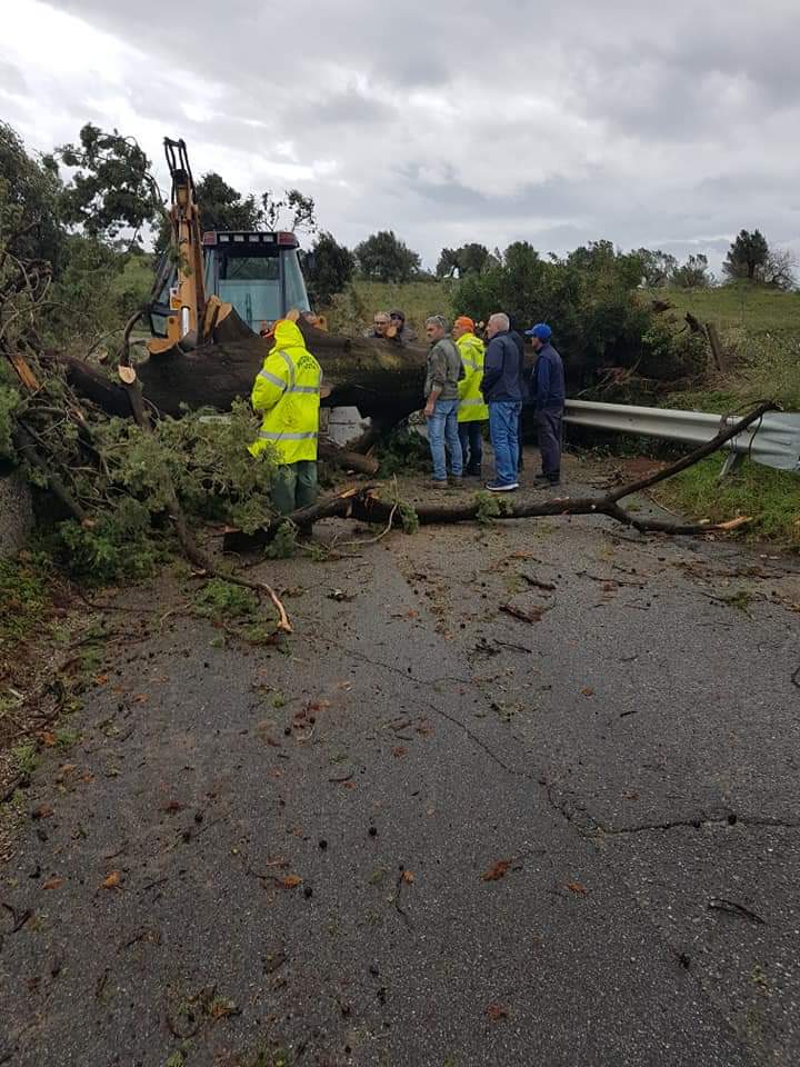 Alte precipitazioni nel bacino del Tacina, strade interrotte e alberi caduti
