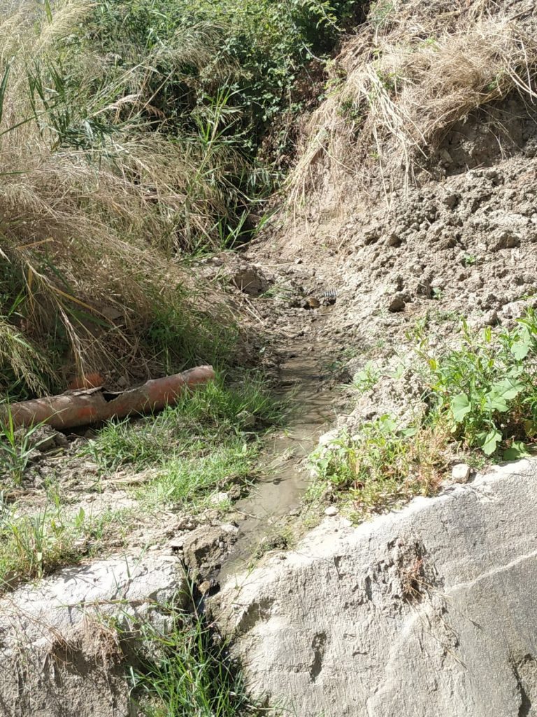 Più Petilia chiede al sindaco intervento urgente per i forti miasmi a Foresta