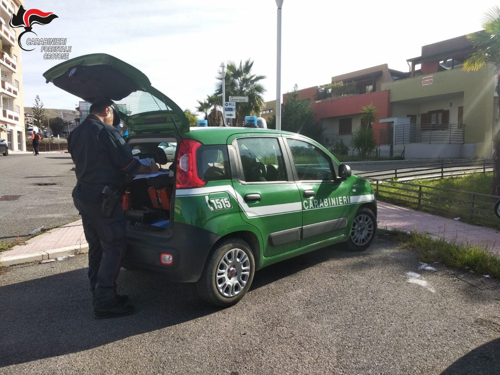 Vendita di sacchetti di plastica irregolari