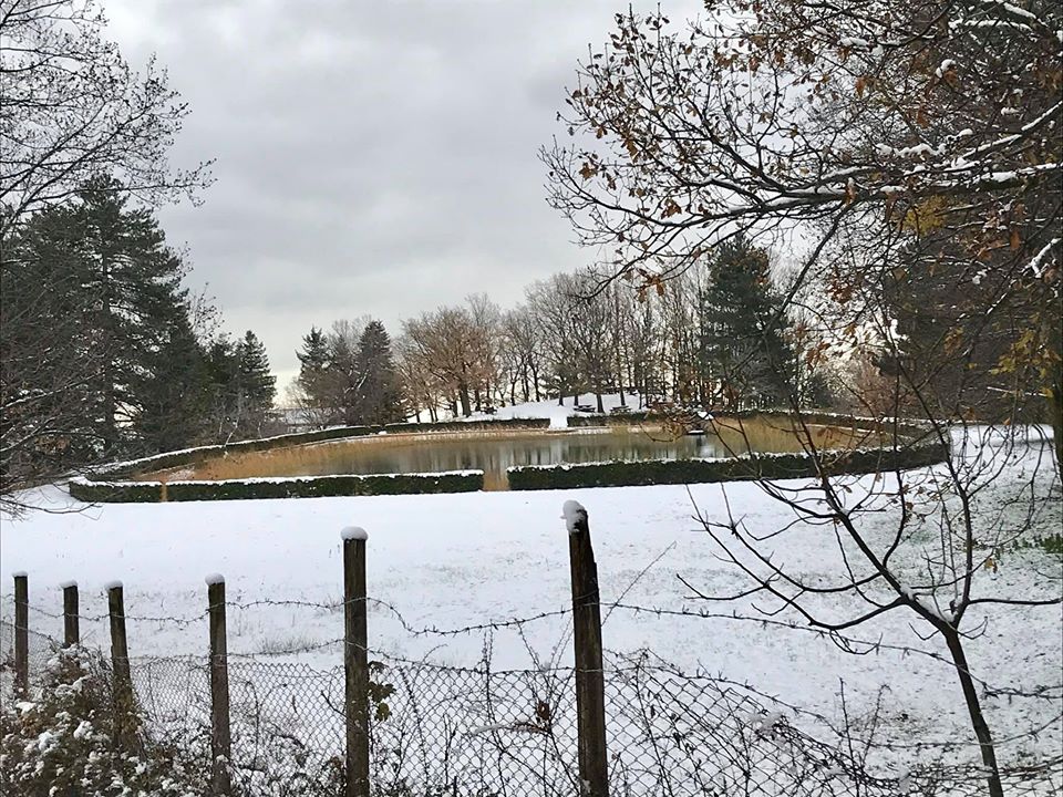 Neve sulla Calabria, anche Petilia in bianco
  