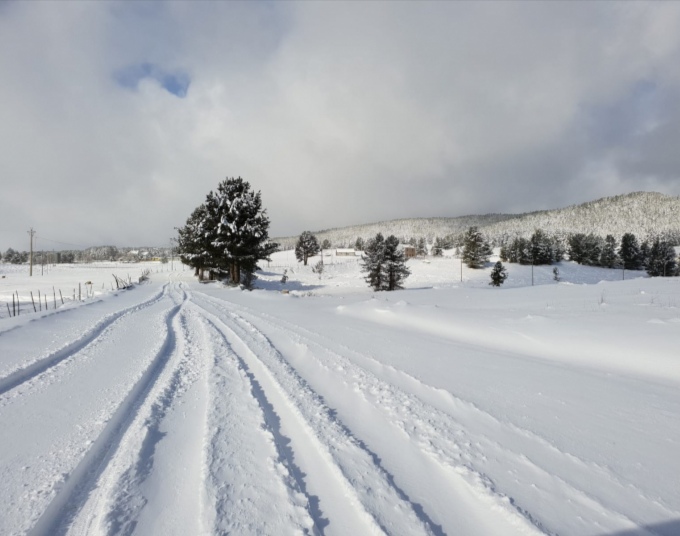 Perturbazione invernale in Calabria, cade la neve in Sila