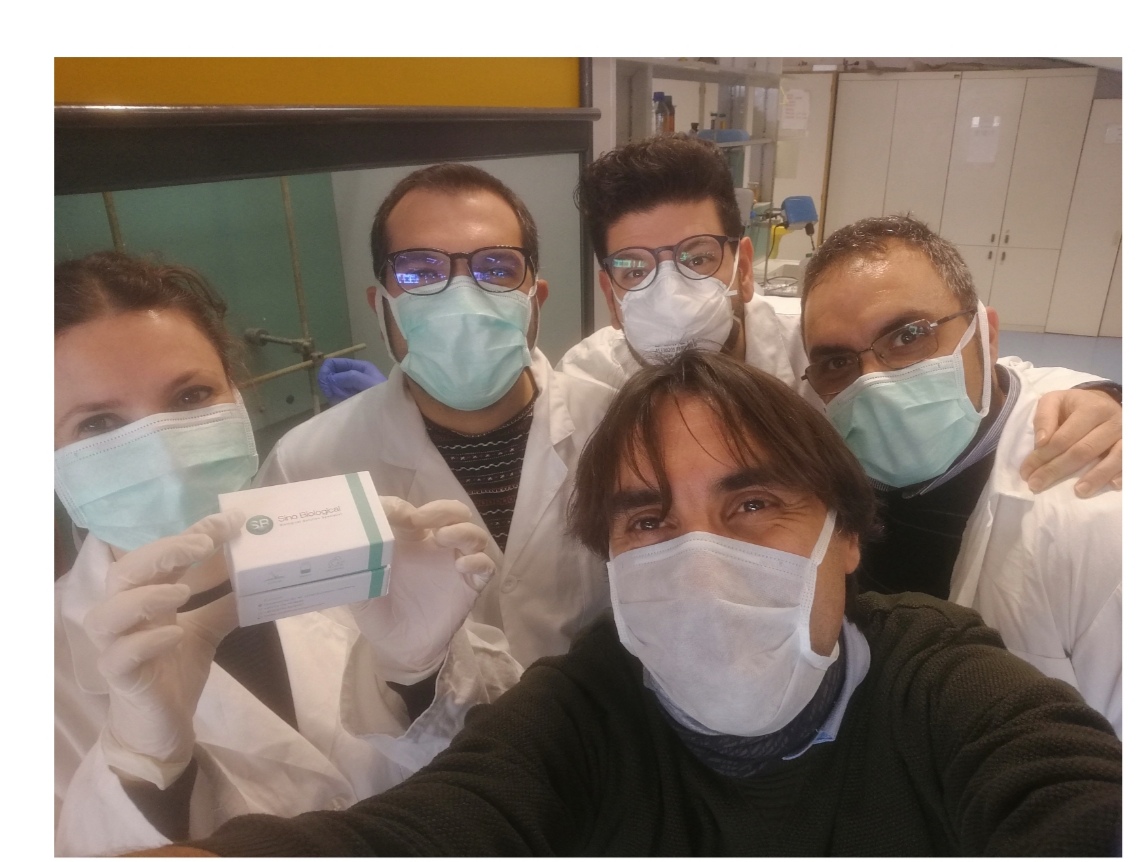 Dall’Unical anticorpi sintetici contro il Coronavirus