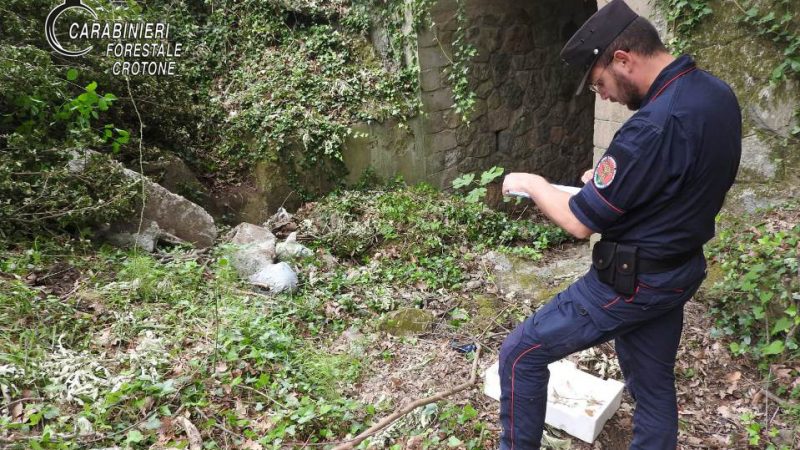 Umbriatico: demolito muretto provinciale illecitamente