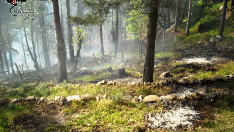 Incendio boschivo a Musco Ferro, intervengono i Carabinieri forestali