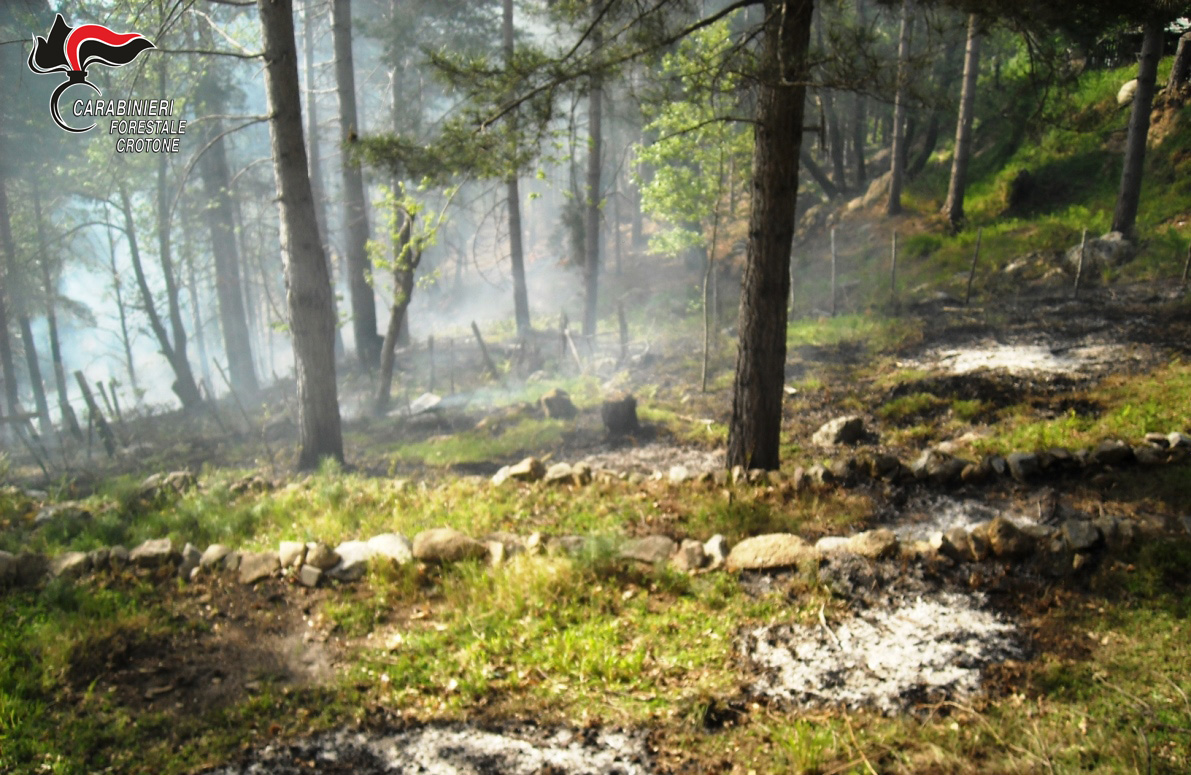 Incendio boschivo a Musco Ferro, intervengono i Carabinieri forestali
