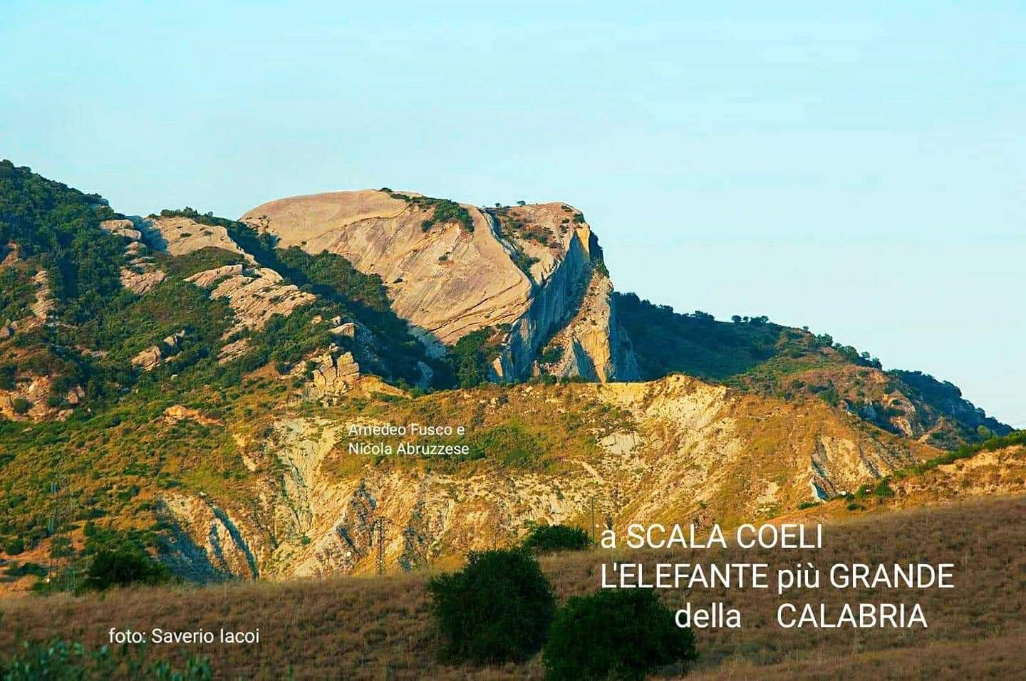 Scoperto a Scala Coeli A Lifànda: l’elefante di roccia tra i  più grandi al mondo
  