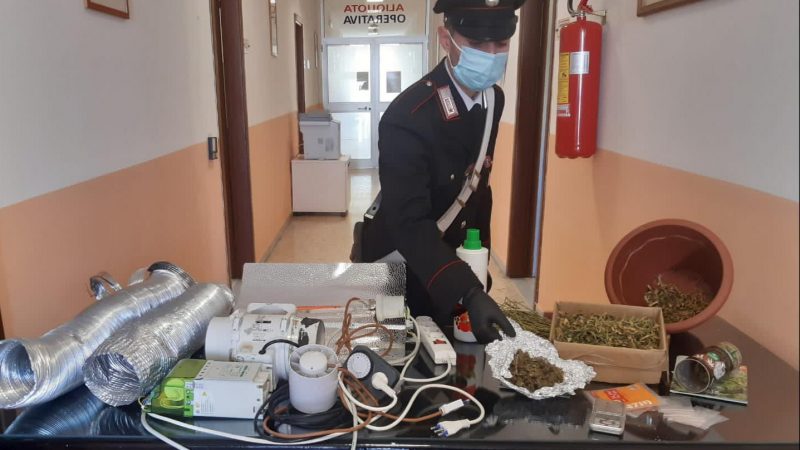 Detenzione di sostanza stupefacente, ricettazione e furto di energia elettrica: un arresto