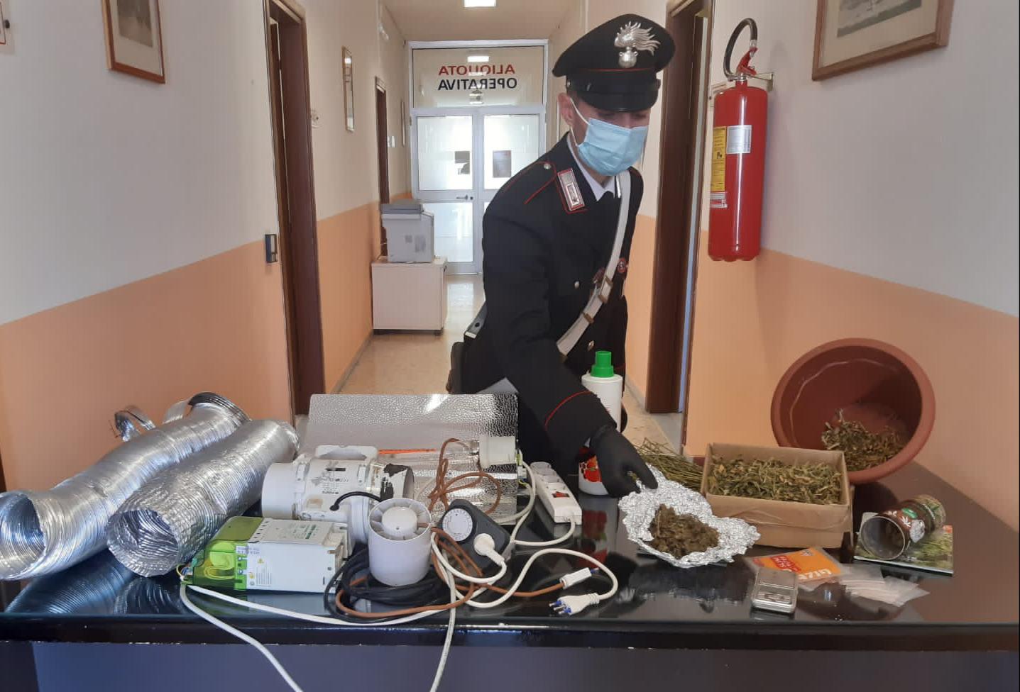 Detenzione di sostanza stupefacente, ricettazione e furto di energia elettrica: un arresto
