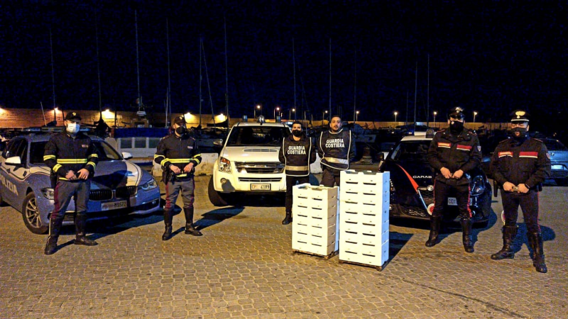 Sequestrati 460 kg di novellame a Cirò Marina