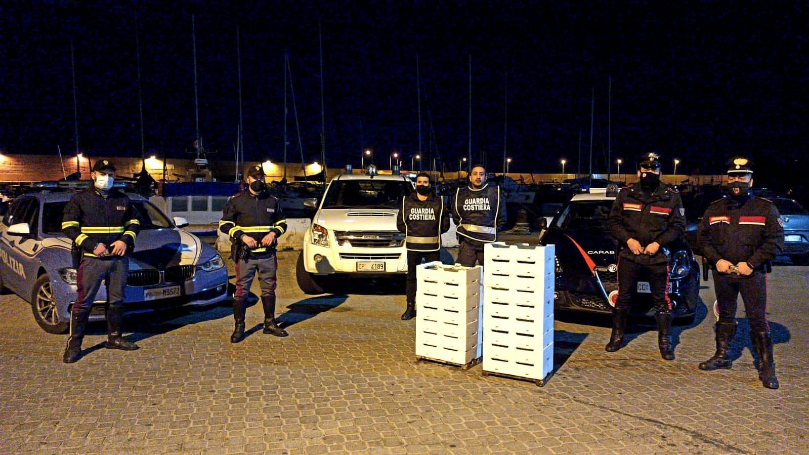 Sequestrati 460 kg di novellame a Cirò Marina
  
