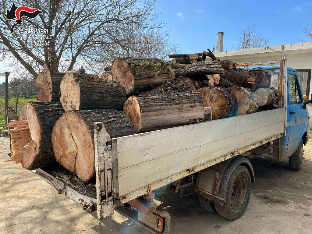 Sorpreso a rubare legna a Sovereto: Arrestato
  