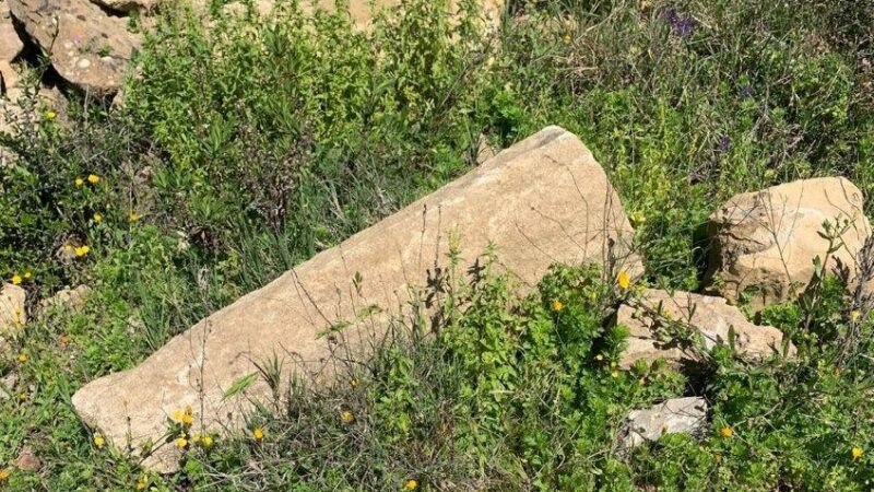 Trovato dai Carabinieri sito di epoca greca