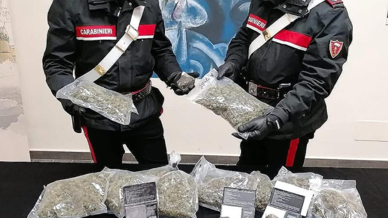 Operazione antidroga dei Carabinieri: 11 indagati