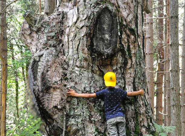 Agosto nel Parco: Le iniziative di Legambiente Valle Tacina alla scoperta del territorio