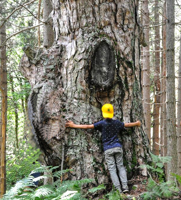 Agosto nel Parco: Le iniziative di Legambiente Valle Tacina alla scoperta del territorio