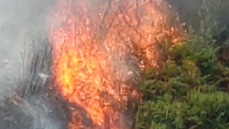 Incendi nell’Alto Marchesato: 300 ettari bruciati nel petilino