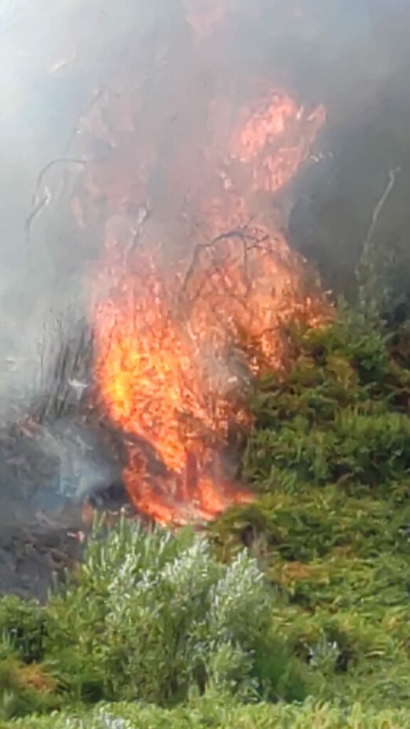 Incendi nell’Alto Marchesato: 300 ettari bruciati nel petilino
  