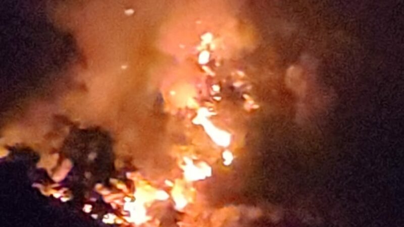 Incendi sul territorio petilino, ieri colpiti 10 ettari di uliveto