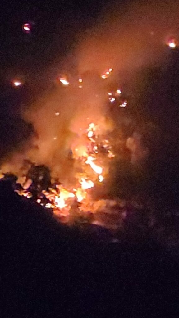 Incendi sul territorio petilino, ieri colpiti 10 ettari di uliveto