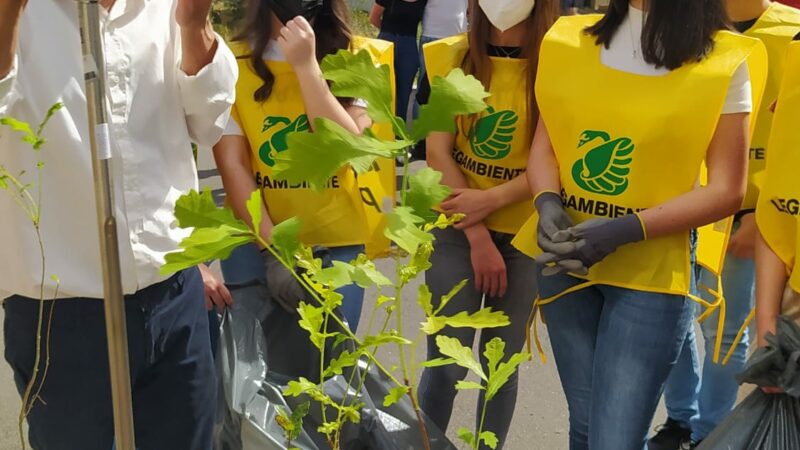 Educare alla natura: I liceali petilini contro il global warming